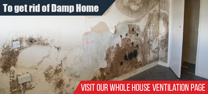 To Get Rid Of Damp Home